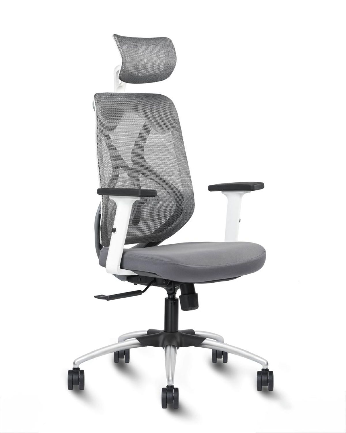 CE 219