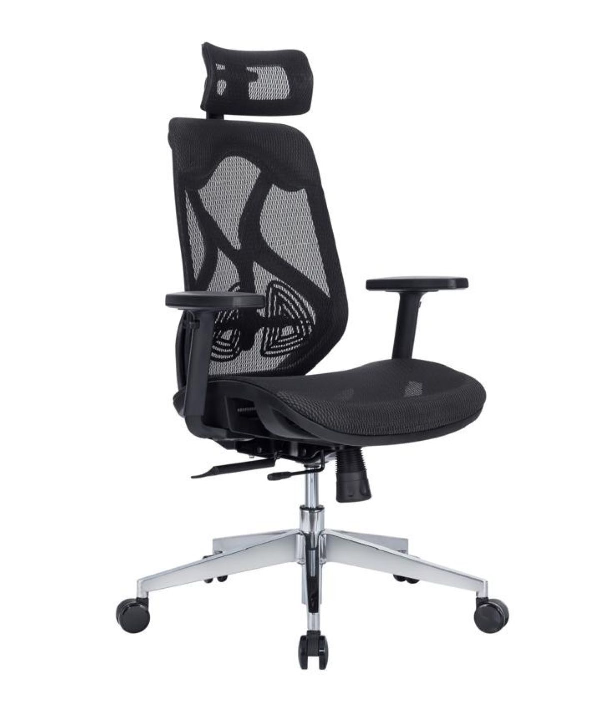 CE 229